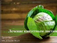 Cabbage in folk medicine