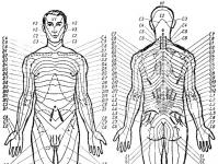 Massage for injuries and diseases of the nervous system
