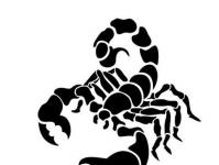 Yhteensopivuus Skorpioni (nainen) - Vesimies (mies)