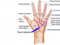 The line of health or mercury in the palm, meaning and sign of death. What does the line of health in the palm mean?